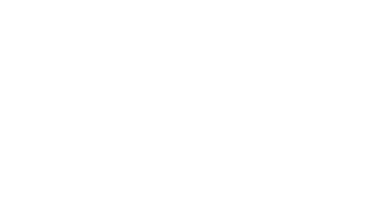 MSWHEELS Shop